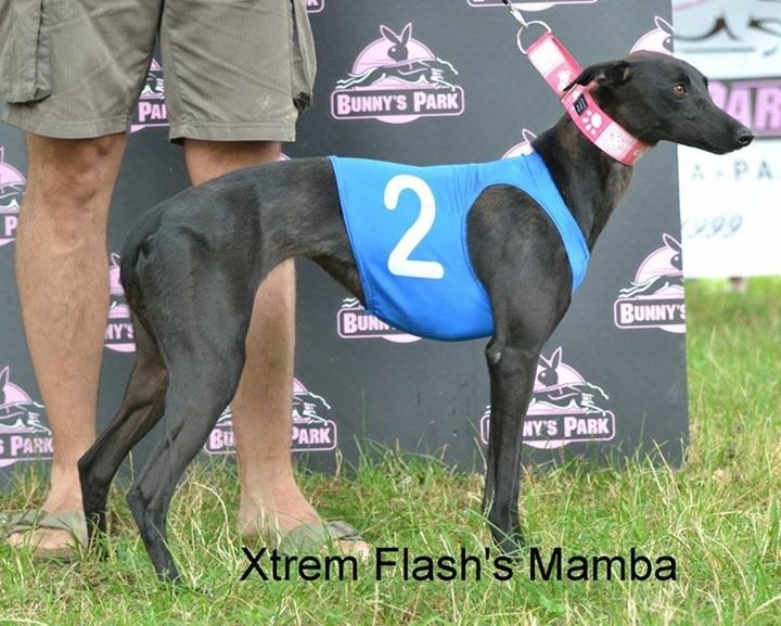 Xtrem Flash Mamba